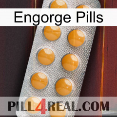 Engorge Pills levitra1